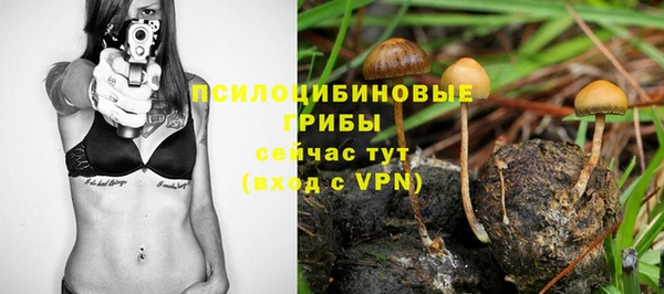 дмт Баксан